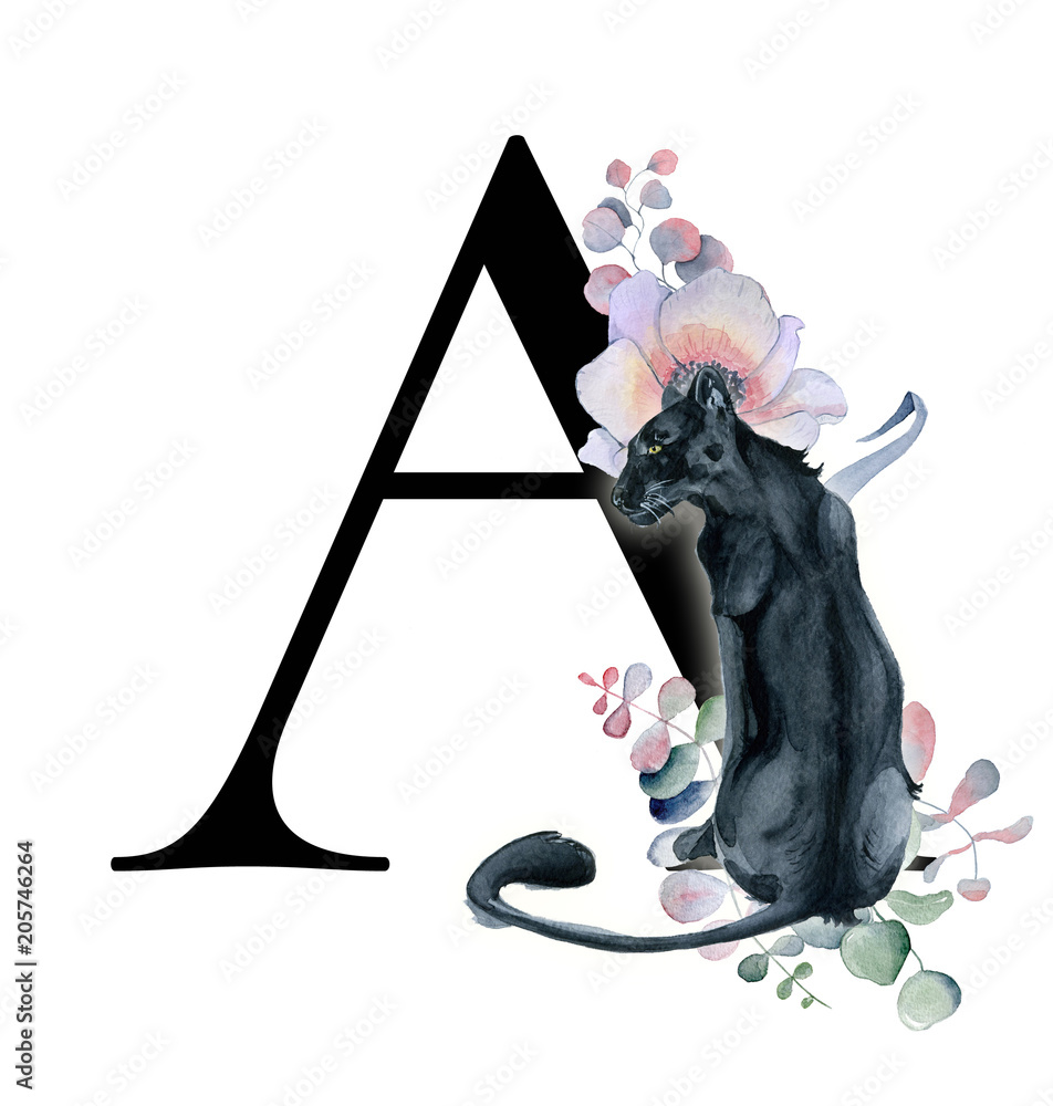 Floral Watercolor Alphabet. Monogram Initial Letter M Design With Hand  Drawn Peony And Anemone Flower And Black Panther For Wedding Invitation,  Cards, Logos Stock Photo, Picture and Royalty Free Image. Image 101737263.