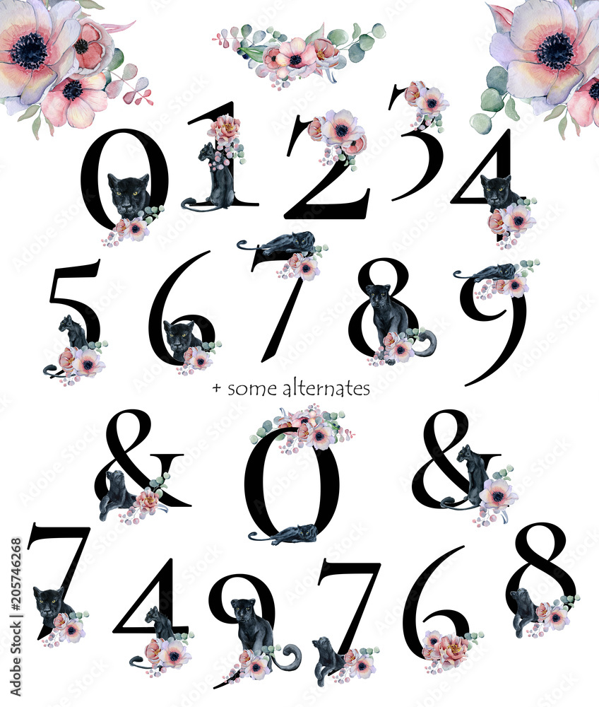 Watercolor numbers with flowers and black panthers. Romantic set for wedding invitations and card Watercolor numbers with flowers and black panthers. Romantic set for wedding invitations and card