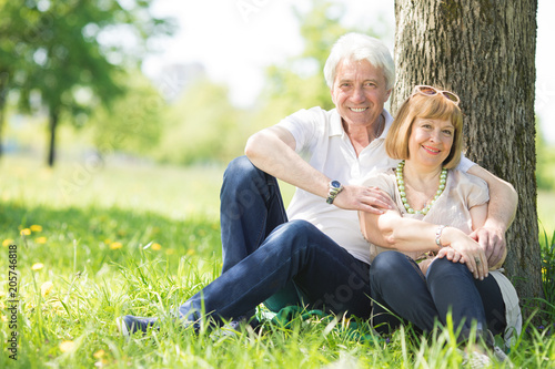 Senior couple sitting on grass © yellowj