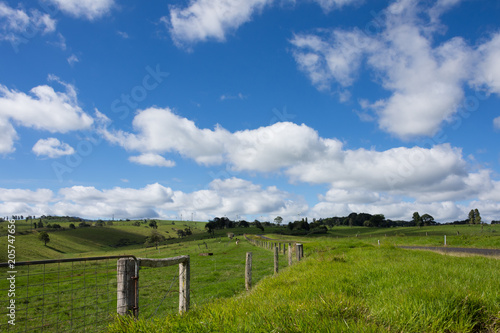 rural landscape with green grass and blue sky 