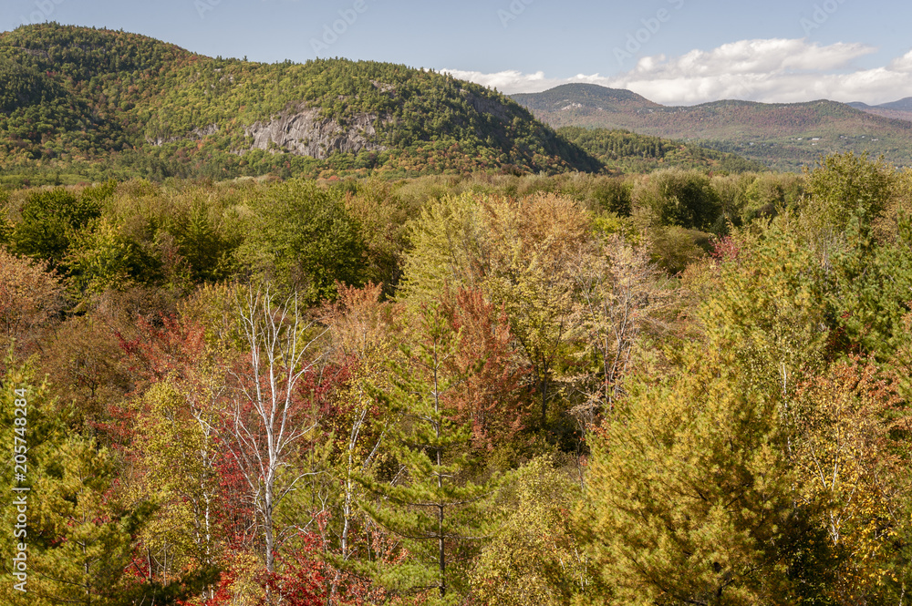 New Hampshire orange yellow green foliage hills