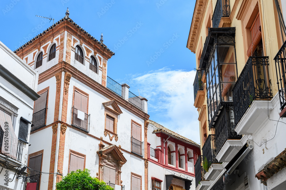 Fototapeta premium traditional houses of Seville old tow, spain