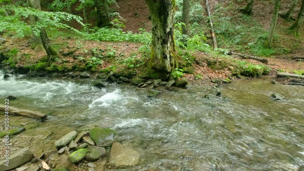 A vividly colorful rocky river in the Appalachian mountains A vividly colorful rocky river in the Appalachian mountains