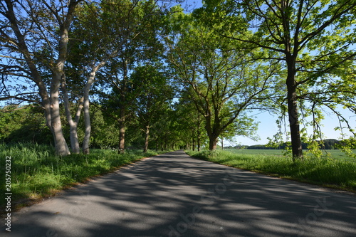 Allee auf R  gen