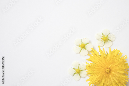 Flower arrangement. Multi-colored flowers on a white background, top view, place to place the inscription, copy space.