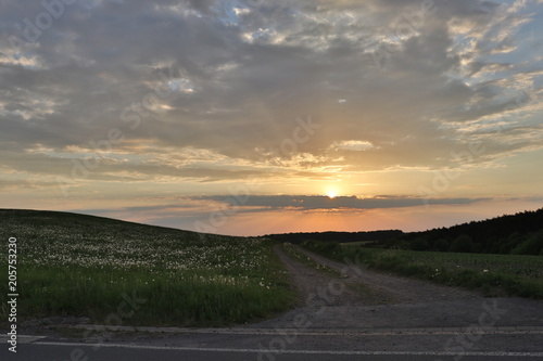 Fototapeta Naklejka Na Ścianę i Meble -  Sunset at dandelion field