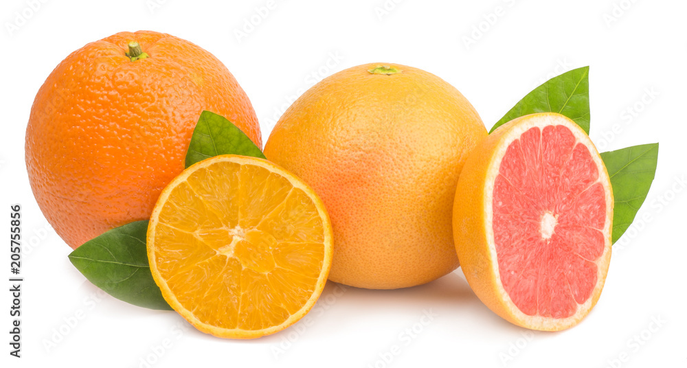 citrus (orange, grapefruit) - isolated on white background