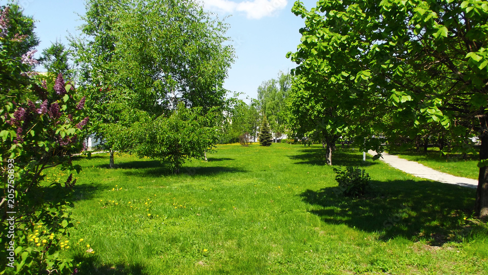 Sunny day in a picturesque Park. Sunny day in a picturesque Park.