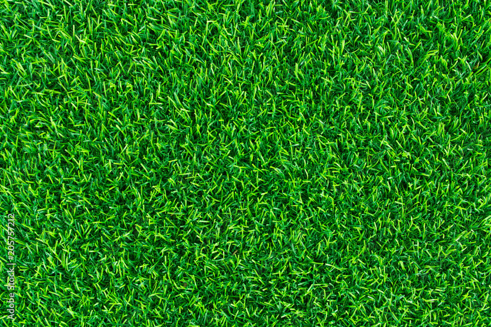 grass , lawn grass , lawn