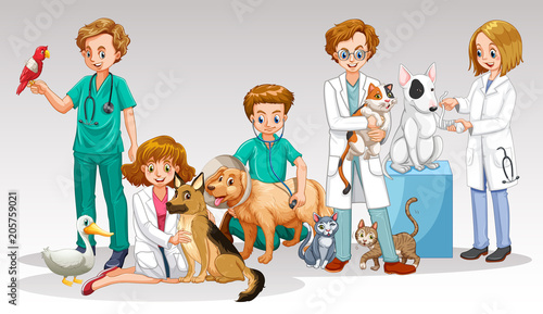 A Vet Doctor Team on White Background