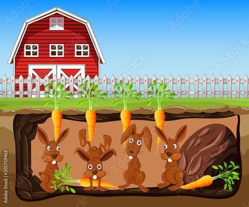 A Rabbit Hole Under Carrot Farm