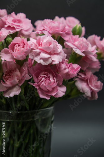 Pink carnations isolated on black background © aunyaluck