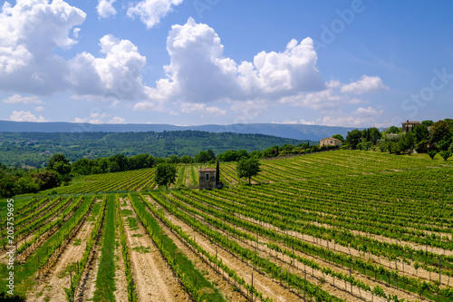 Vue sur le massif du Luberon, et les vignobles au printemps en Provence, France.