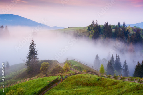 Beautiful morning fog cover the mountain valley