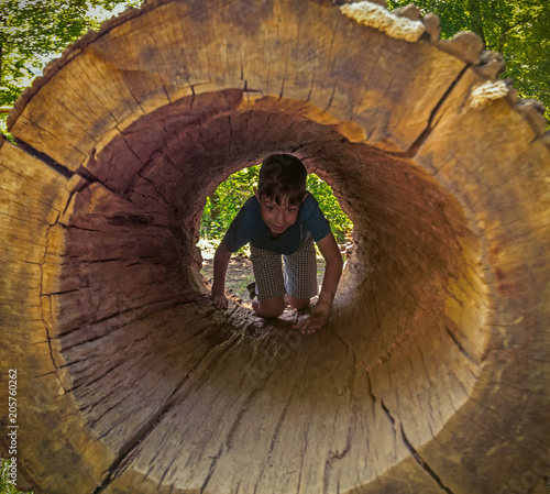 boy child joyfully creeping inside hollow tree trunk. Concept: Waldorf school