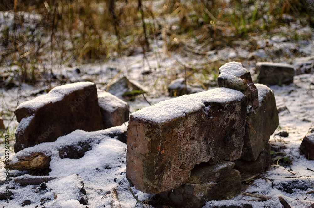 Fototapeta premium bricks in the forest covered with snow