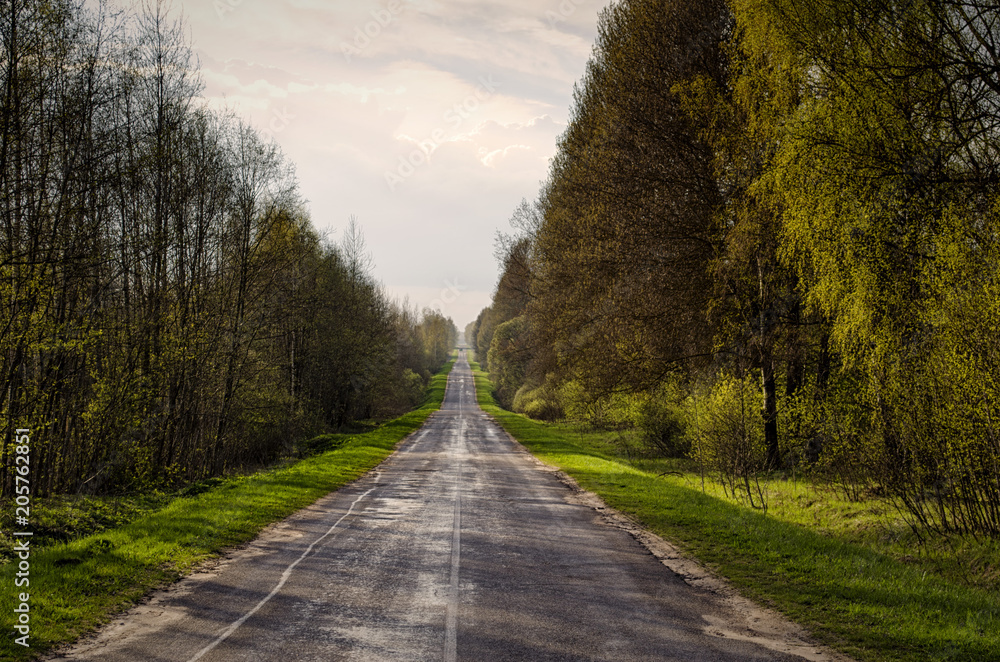 Fototapeta premium the road to the distance beautiful sky and trees