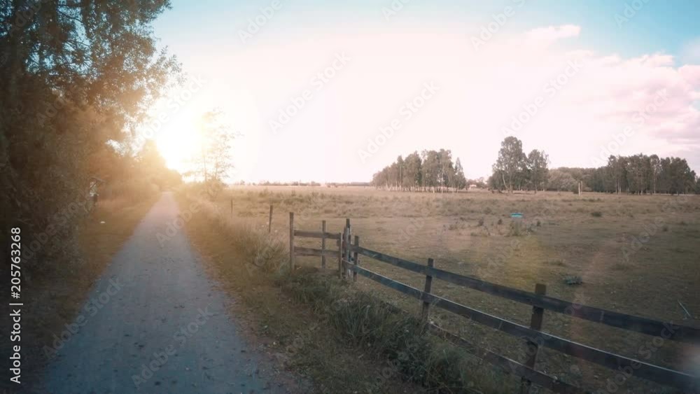 Landscape background with rural road and green meadow in Sweden. Countryside scene of swedish nature in summer.