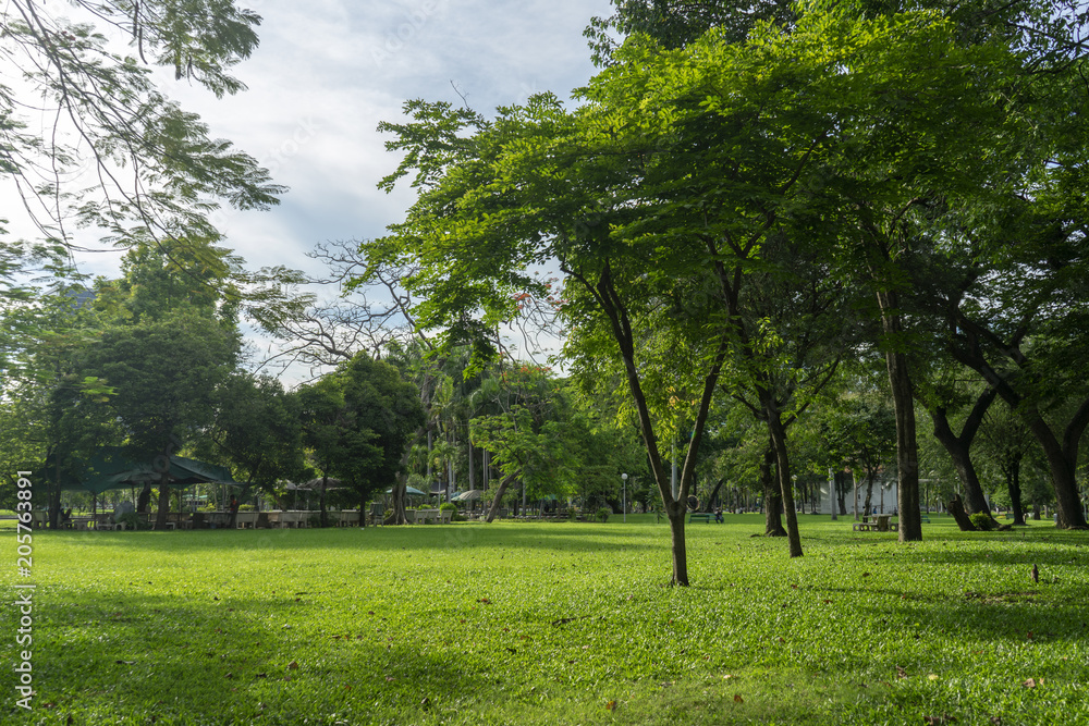 Image of green garden background in the park