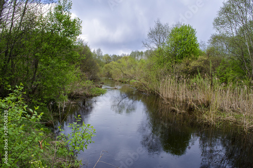 greenery and river in summer