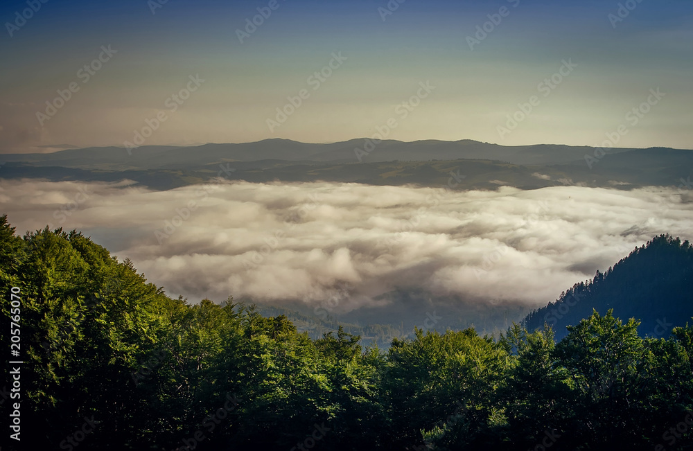 Beautiful mountains and blue sky morning in the Carpathians. Ukraine.