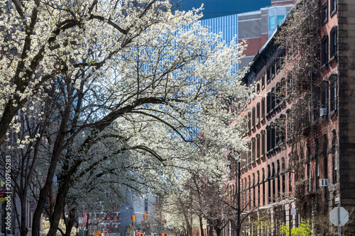 Spring street scene in the East Village of New York City