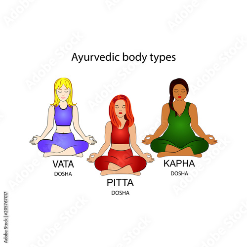 Ayurvedic body types. Vector illustration.