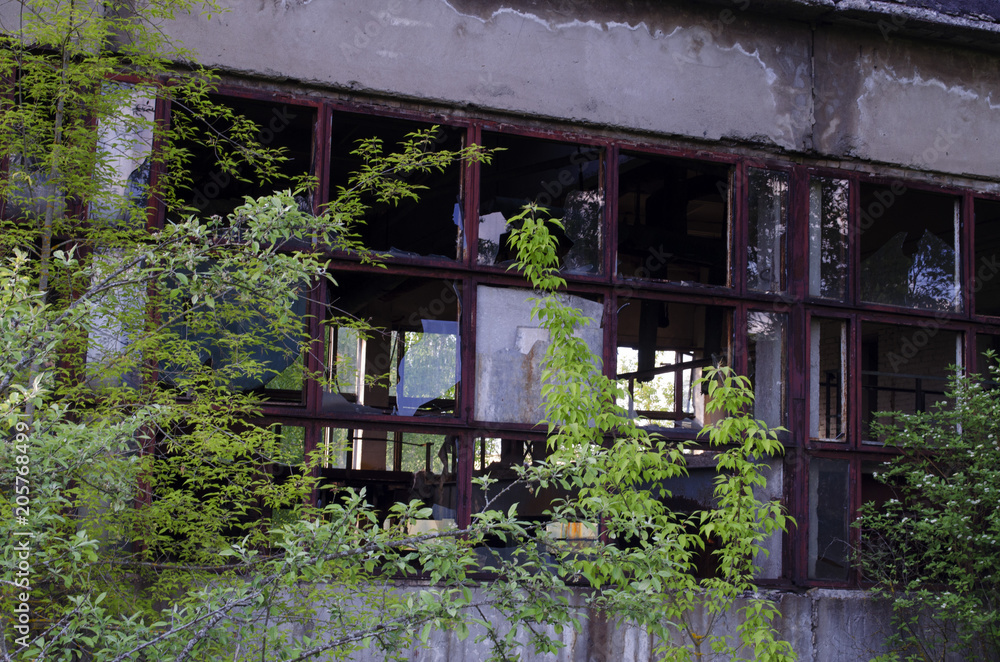 Fototapeta premium an abandoned building in the summer