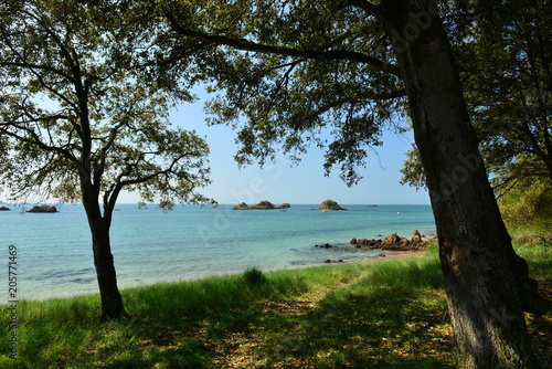 St Clement Bay  Jersey  U.K.  Natural coast in spring.