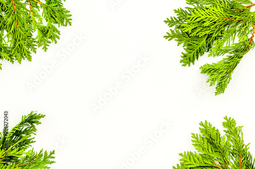 Frame or background with juniper for image editing, image design. Juniper branch on white background top view copy space