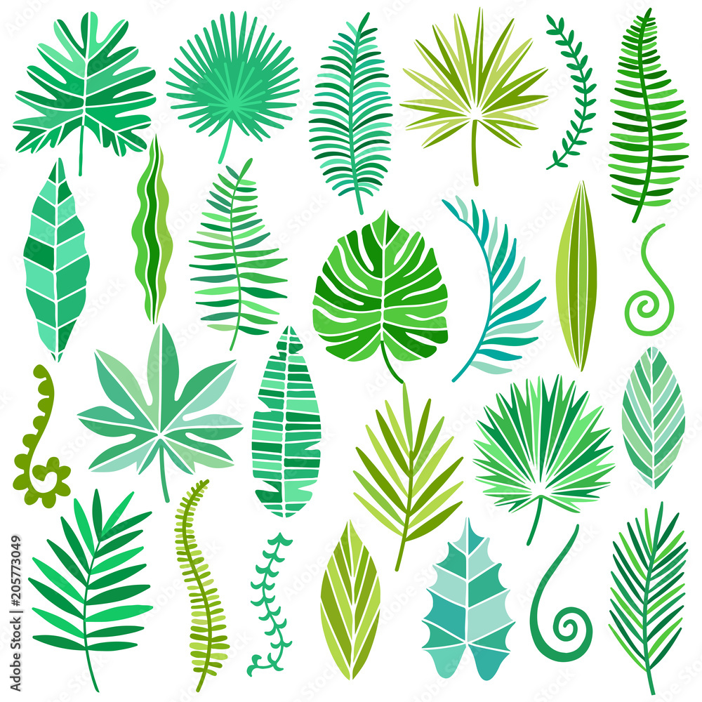 Vector tropical leaves set isolated on white