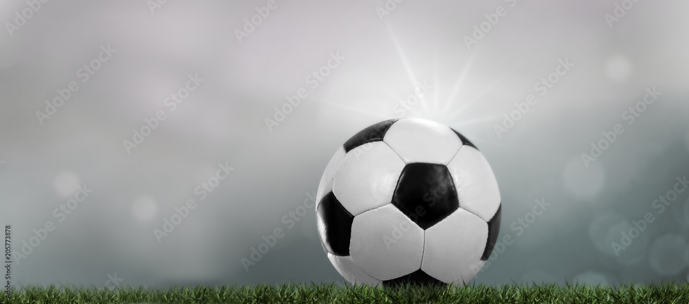 Naklejka premium Fußball im stadion