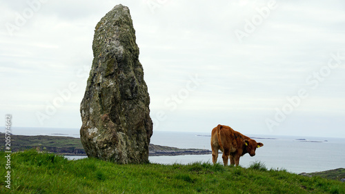 Standing Stone mit Kalb 2