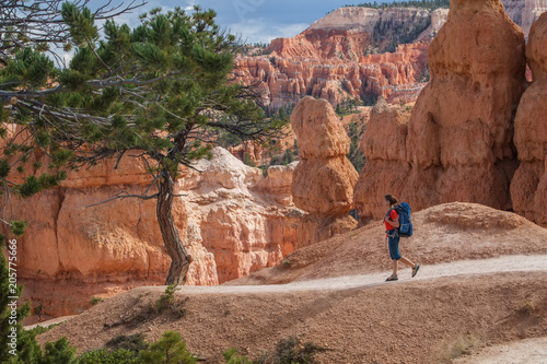 Hiker visits Bryce canyon National park in Utah, USA