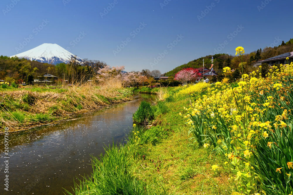Obraz premium Oshino Hakkai village with sakura and mt. Fuji