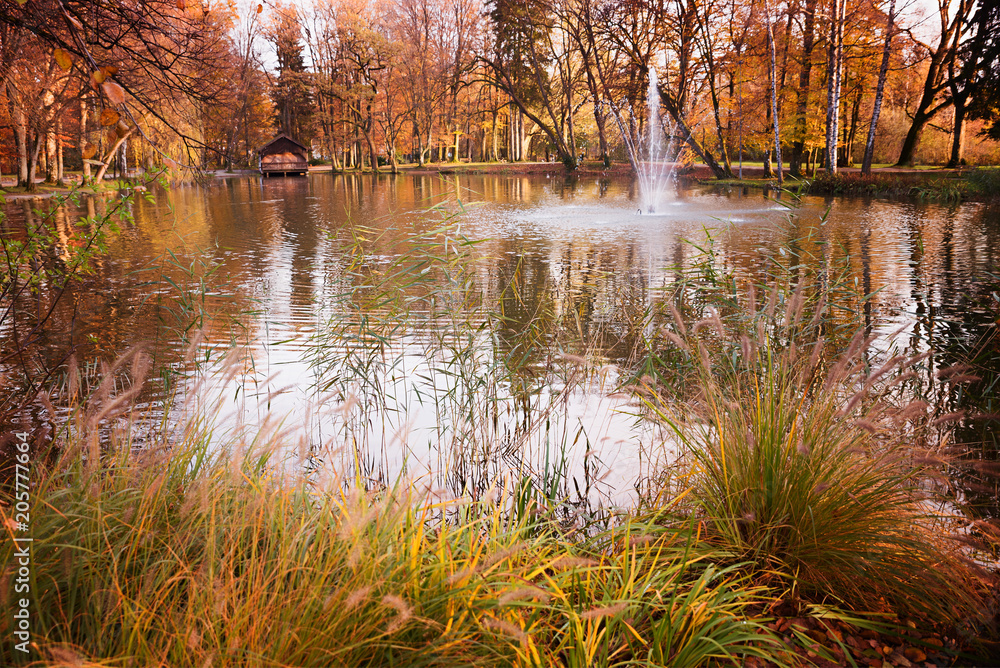 Teich im Kurpark Bad Aibling mit Herbstlicher Stimmung