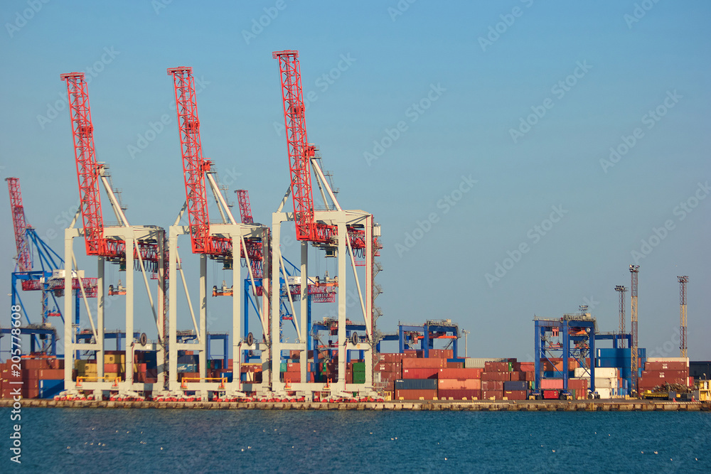 Sea port containers. Containers wit cargo and red cranes in a sea port.