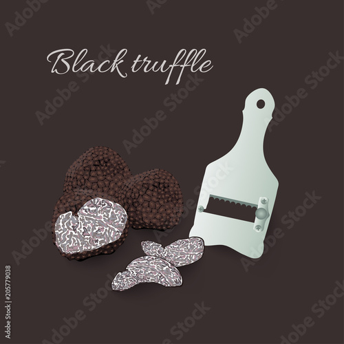 Hand drawn vector illustration of black truffles mushrooms, tuber fungus and slicer