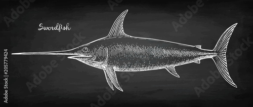 Chalk sketch of swordfish