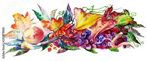 Fruits and berries  watercolor illustration. Handmade watercolors.