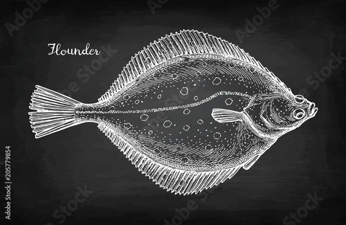 Chalk sketch of flounder