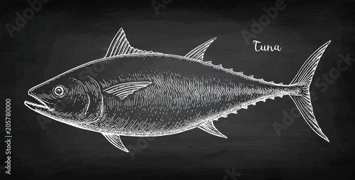 Chalk sketch of tuna