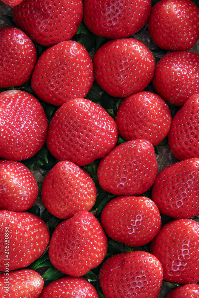 Close up of many fresh ripe strawberries flat lay Close up of many fresh ripe strawberries flat lay