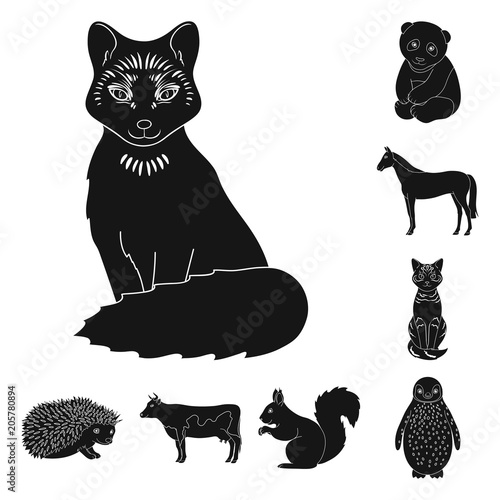 Realistic animals black icons in set collection for design. Wild and domestic animals vector symbol stock web illustration.