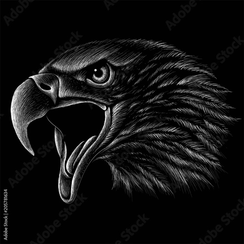 The Vector logo eagle for T-shirt design or outwear.  Hunting style eagle background.