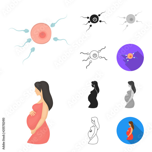 Woman and pregnancy cartoon,black,flat,monochrome,outline icons in set collection for design. Gynecology and equipment vector symbol stock web illustration.