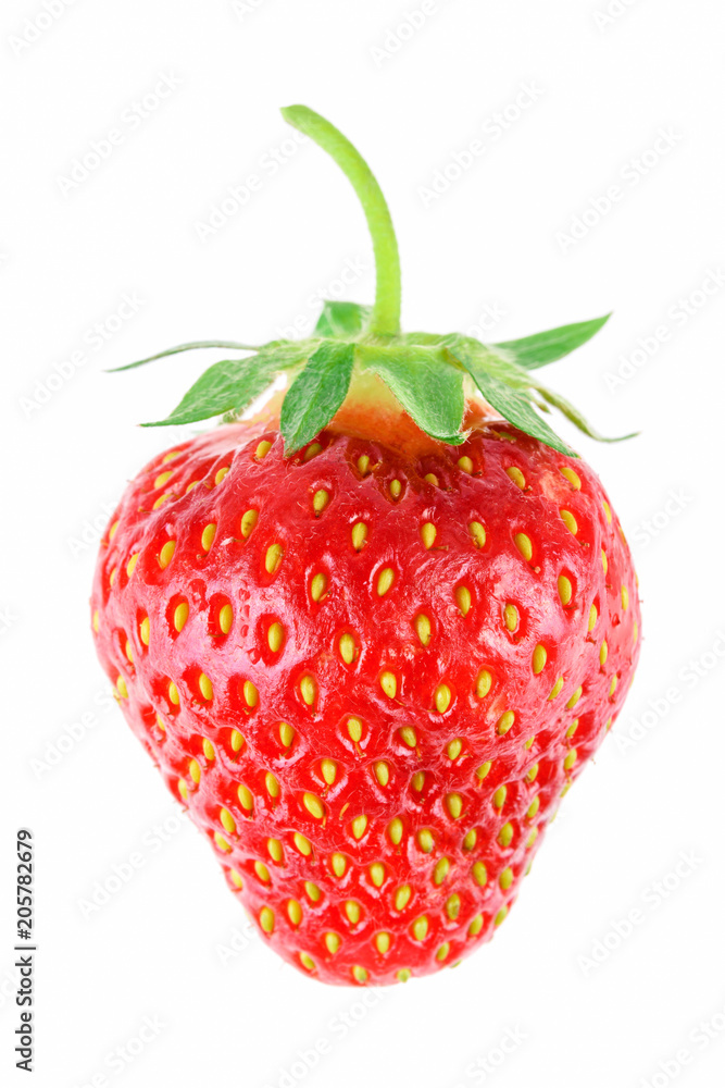 Ripe whole strawberry isolated on a white background in close-up Ripe whole strawberry isolated on a white background in close-up