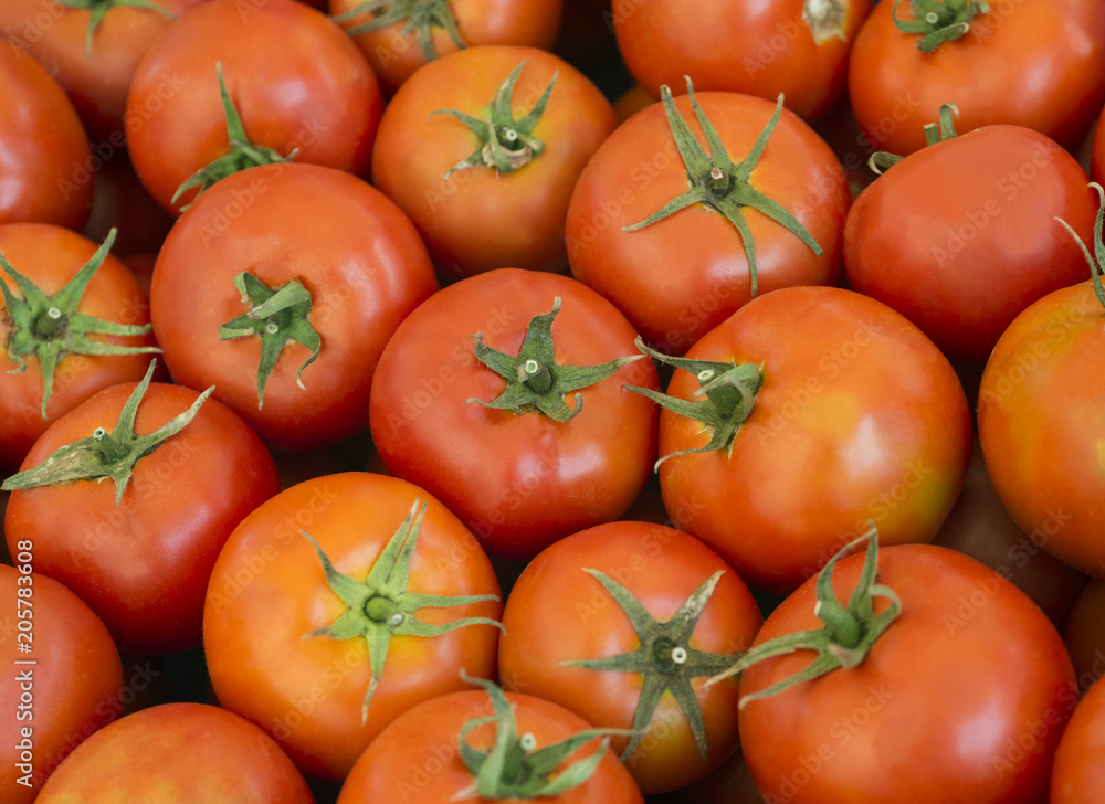 Delicious red tomatoes. Summer tray market agriculture farm full of organic vegetables. It can be used as background. (selective focus) Delicious red tomatoes. Summer tray market agriculture farm full of organic vegetables. It can be used as background. (selective focus)