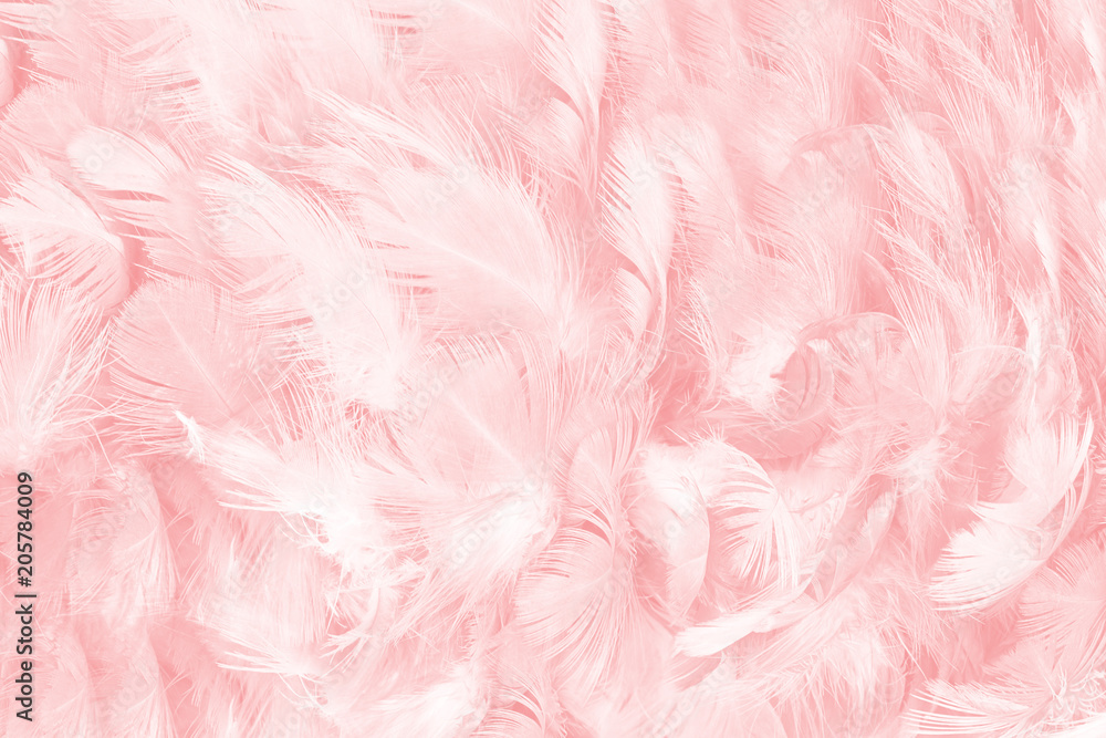 Naklejka premium miękki różowy kolor vintage trendy kurczak pióro tekstura tło
