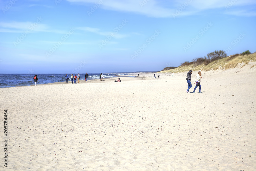 The Curonian Spit. Coast of the Baltic Sea